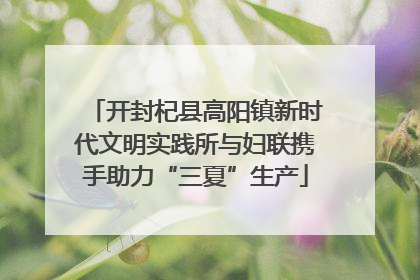 开封杞县高阳镇新时代文明实践所与妇联携手助力“三夏”生产