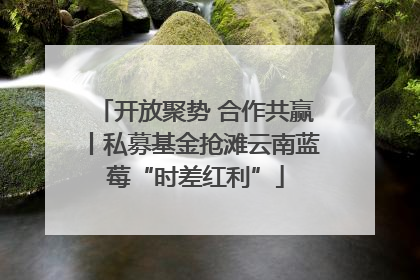开放聚势 合作共赢丨私募基金抢滩云南蓝莓“时差红利”