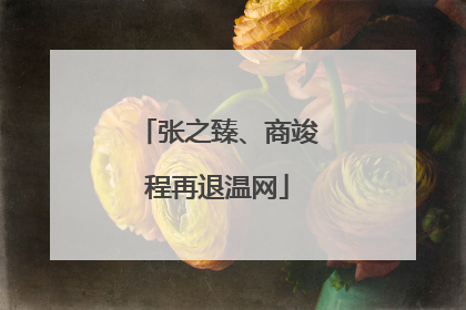 张之臻、商竣程再退温网