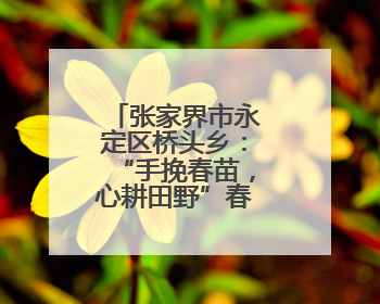 张家界市永定区桥头乡：“手挽春苗，心耕田野”春耕体验活动