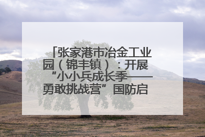 张家港市冶金工业园（锦丰镇）：开展“小小兵成长季——勇敢挑战营”国防启蒙教育活动