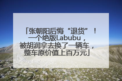 张朝阳后悔“退货”！一个绝版Labubu，被胡润拿去换了一辆车，整车原价值上百万元