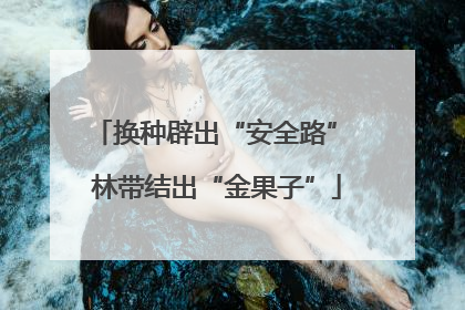 换种辟出“安全路” 林带结出“金果子”