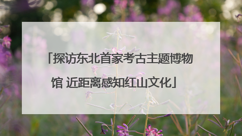 探访东北首家考古主题博物馆 近距离感知红山文化