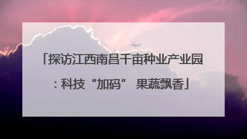 探访江西南昌千亩种业产业园：科技“加码” 果蔬飘香