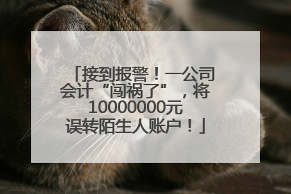 接到报警！一公司会计“闯祸了”，将10000000元误转陌生人账户！