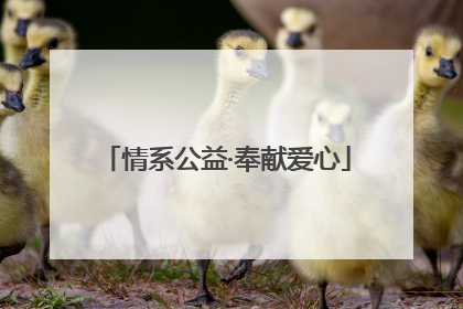 情系公益·奉献爱心