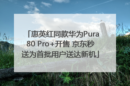 惠英红同款华为Pura 80 Pro+开售 京东秒送为首批用户送达新机