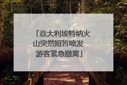 意大利埃特纳火山突然短暂喷发 游客紧急撤离