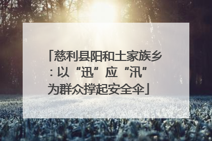 慈利县阳和土家族乡：以“迅”应“汛” 为群众撑起安全伞