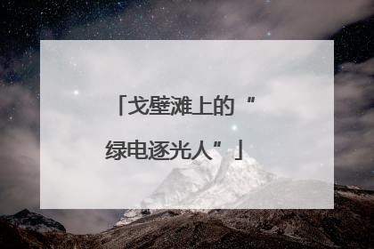 戈壁滩上的“绿电逐光人”