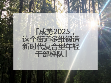成势2025，这个街道多维锻造新时代复合型年轻干部梯队