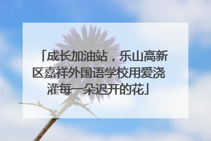 成长加油站，乐山高新区嘉祥外国语学校用爱浇灌每一朵迟开的花