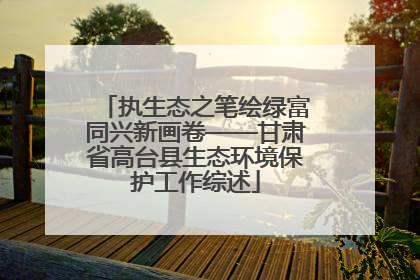 执生态之笔绘绿富同兴新画卷——甘肃省高台县生态环境保护工作综述