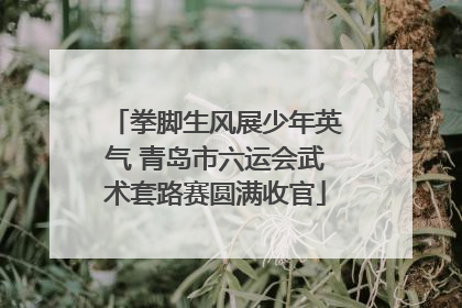 拳脚生风展少年英气 青岛市六运会武术套路赛圆满收官