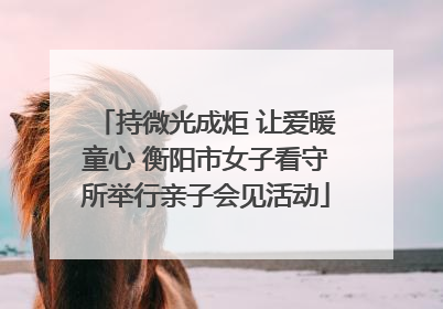 持微光成炬 让爱暖童心 衡阳市女子看守所举行亲子会见活动