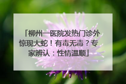柳州一医院发热门诊外惊现大蛇！有毒无毒？专家辨认：性情温顺