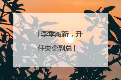 李季履新，升任央企副总