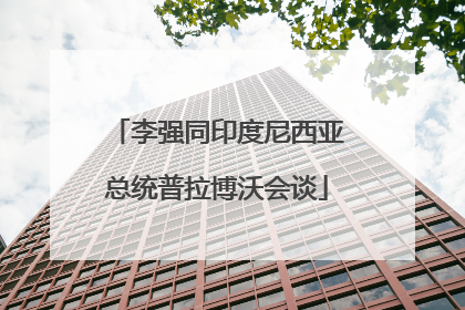 李强同印度尼西亚总统普拉博沃会谈