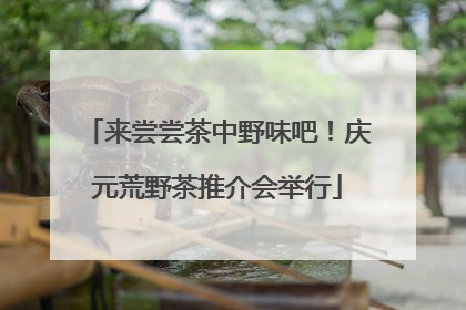 来尝尝茶中野味吧！庆元荒野茶推介会举行