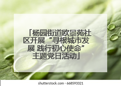 杨园街道欧景苑社区开展“寻根城市发展 践行初心使命”主题党日活动