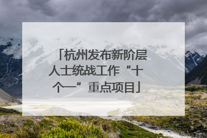 杭州发布新阶层人士统战工作“十个一”重点项目