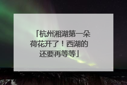 杭州湘湖第一朵荷花开了！西湖的还要再等等