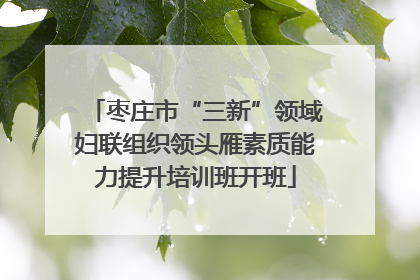枣庄市“三新”领域妇联组织领头雁素质能力提升培训班开班