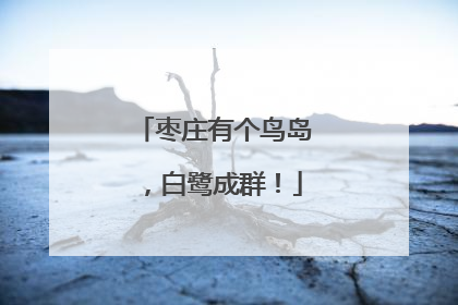 枣庄有个鸟岛，白鹭成群！