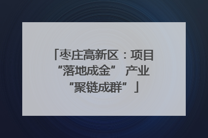 枣庄高新区：项目“落地成金” 产业“聚链成群”