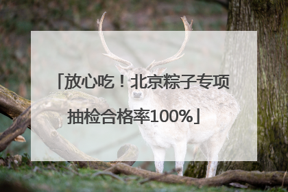 放心吃！北京粽子专项抽检合格率100%