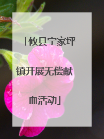 攸县宁家坪镇开展无偿献血活动