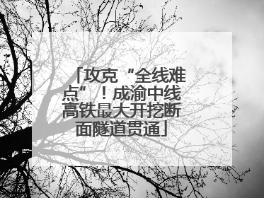 攻克“全线难点”！成渝中线高铁最大开挖断面隧道贯通