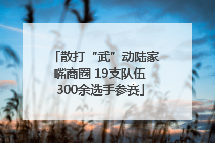 散打“武”动陆家嘴商圈 19支队伍300余选手参赛