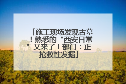 施工现场发现古墓！熟悉的“西安日常”又来了！部门：正抢救性发掘