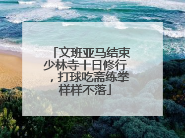 文班亚马结束少林寺十日修行，打球吃斋练拳样样不落