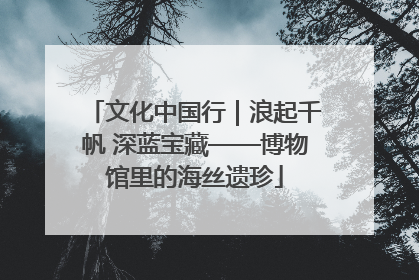 文化中国行｜浪起千帆 深蓝宝藏——博物馆里的海丝遗珍