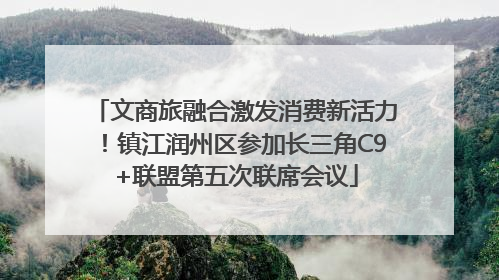 文商旅融合激发消费新活力！镇江润州区参加长三角C9+联盟第五次联席会议