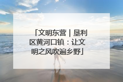 文明东营｜垦利区黄河口镇：让文明之风吹遍乡野