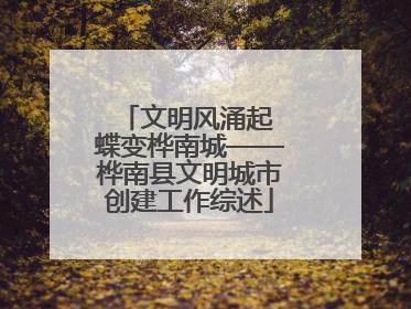 文明风涌起 蝶变桦南城——桦南县文明城市创建工作综述