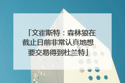 文霍斯特：森林狼在截止日前非常认真地想要交易得到杜兰特