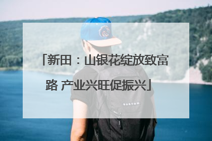新田：山银花绽放致富路 产业兴旺促振兴