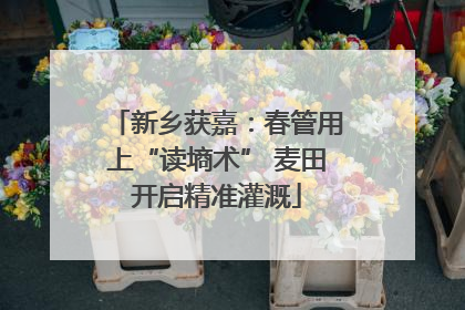 新乡获嘉：春管用上“读墒术” 麦田开启精准灌溉