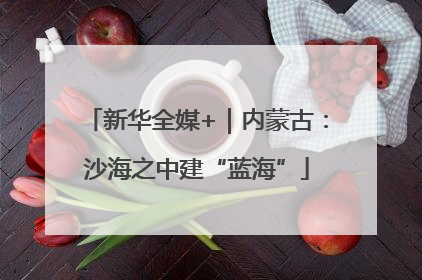 新华全媒+｜内蒙古：沙海之中建“蓝海”