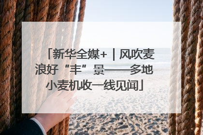 新华全媒+｜风吹麦浪好“丰”景——多地小麦机收一线见闻