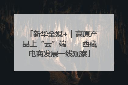 新华全媒+｜高原产品上“云”端——西藏电商发展一线观察