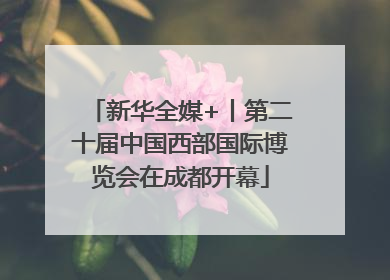 新华全媒+丨第二十届中国西部国际博览会在成都开幕