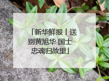 新华鲜报丨送别黄旭华 国士忠魂归故里