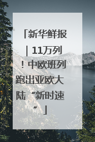 新华鲜报｜11万列！中欧班列跑出亚欧大陆“新时速”