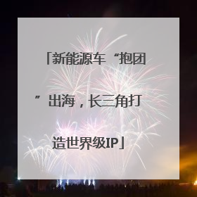 新能源车“抱团”出海，长三角打造世界级IP